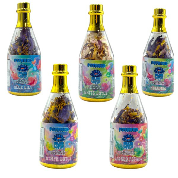 Picture of PSYCHED BLUE LOTUS FLOWER ASSORTED 7G