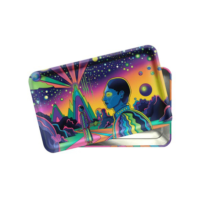 Picture of SYNDICASE PLUS INTROSPECTION