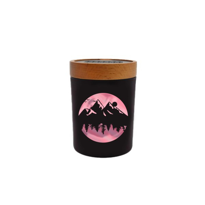 Picture of SOLESTASH SMALL HIGH ELEVATION PINK